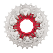 captura-de-ecra-2021-10-20-as-17-33-59