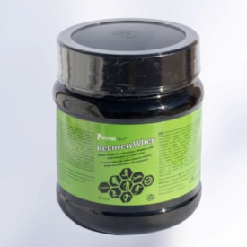 NUTRITAPE RECOVERY WHEY - 400G