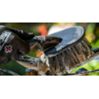 captura-de-ecra-2023-06-26-as-11-08-14